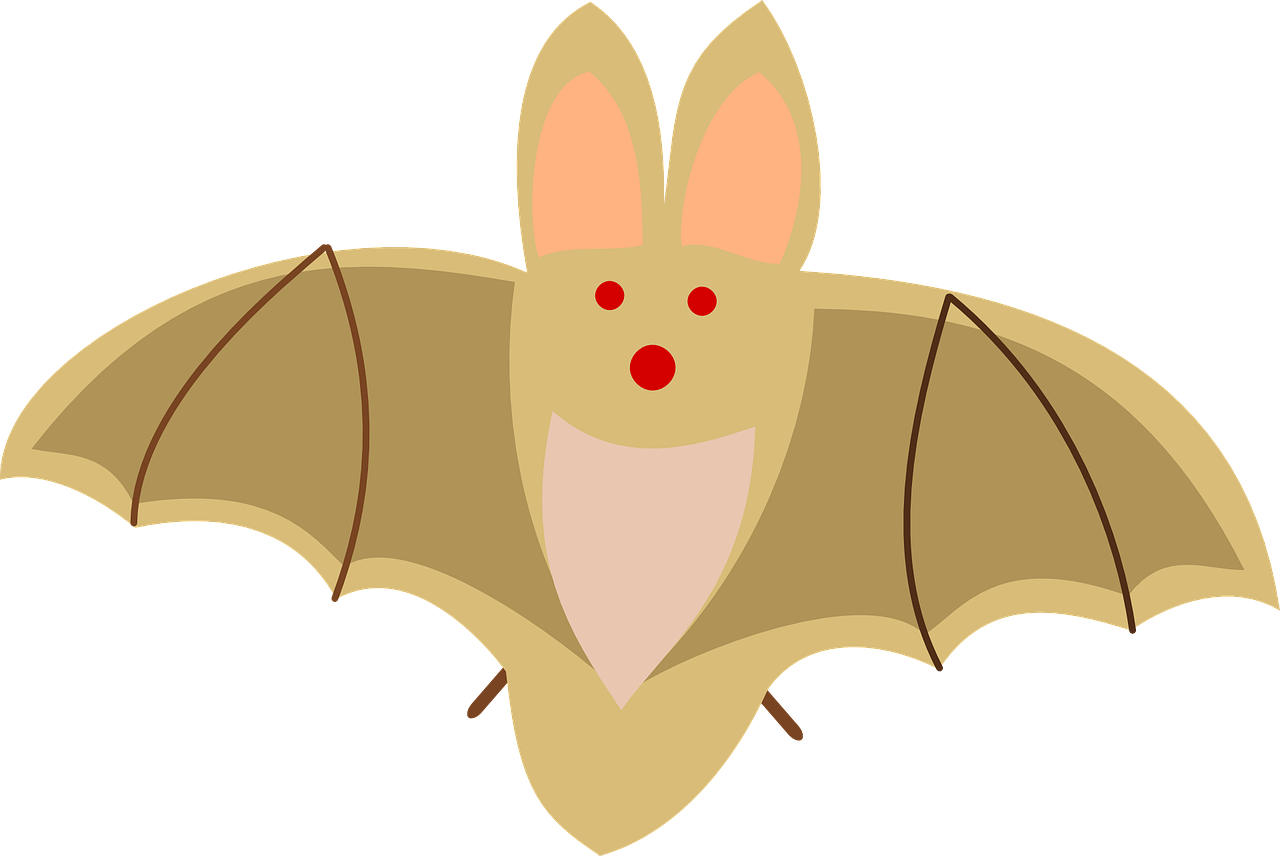 bat dracula animal free photo