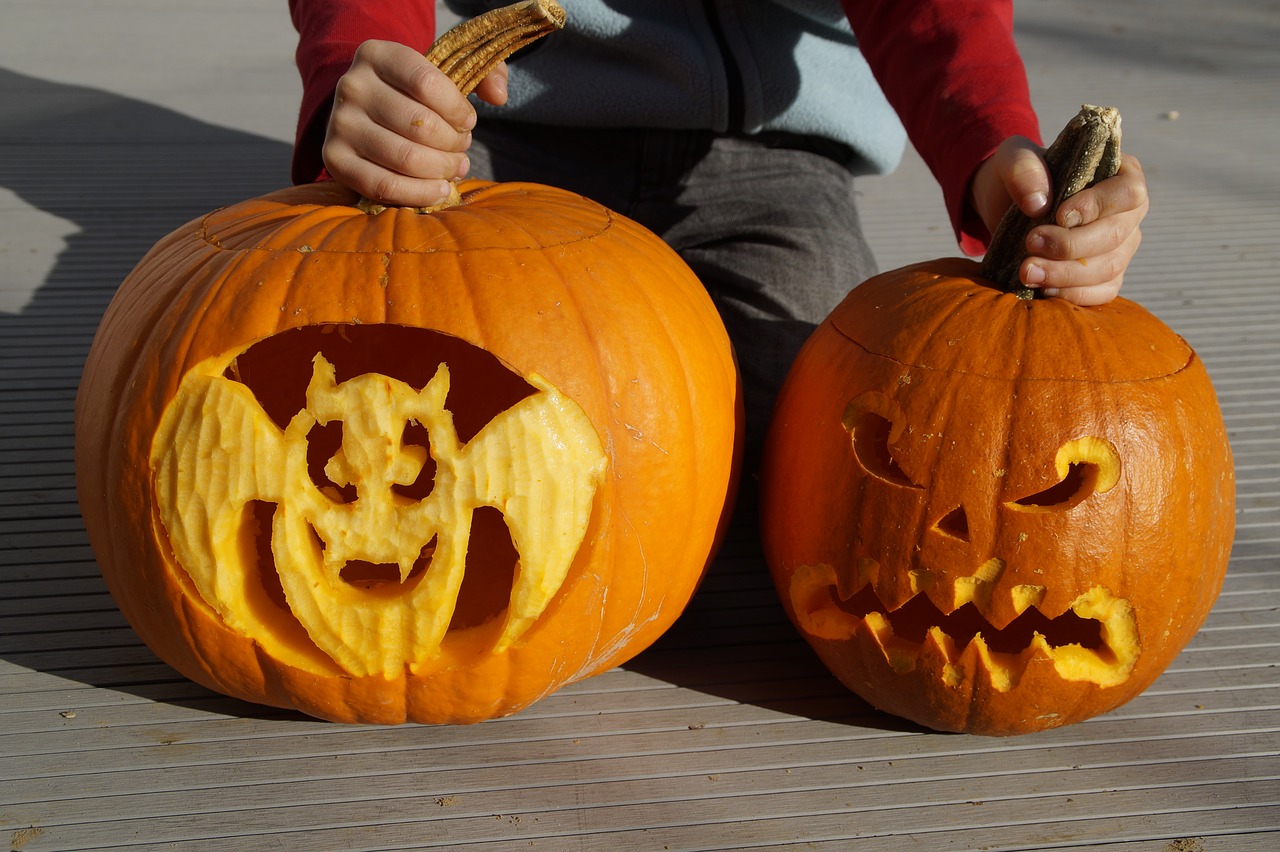 bat halloween pumpkin free photo