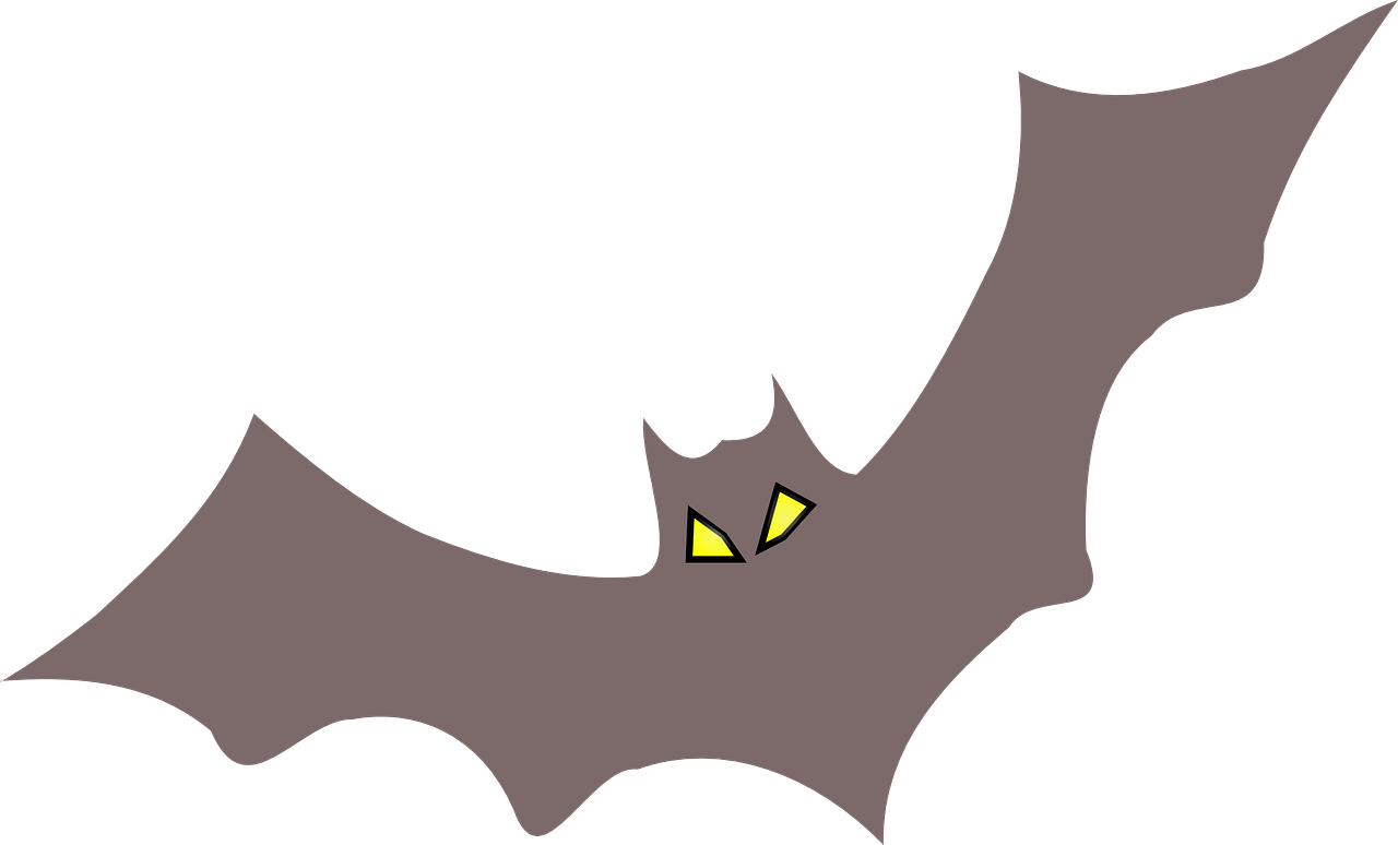 bat halloween spooky free photo