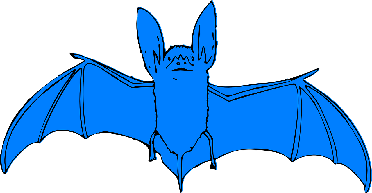 bat blue animal free photo