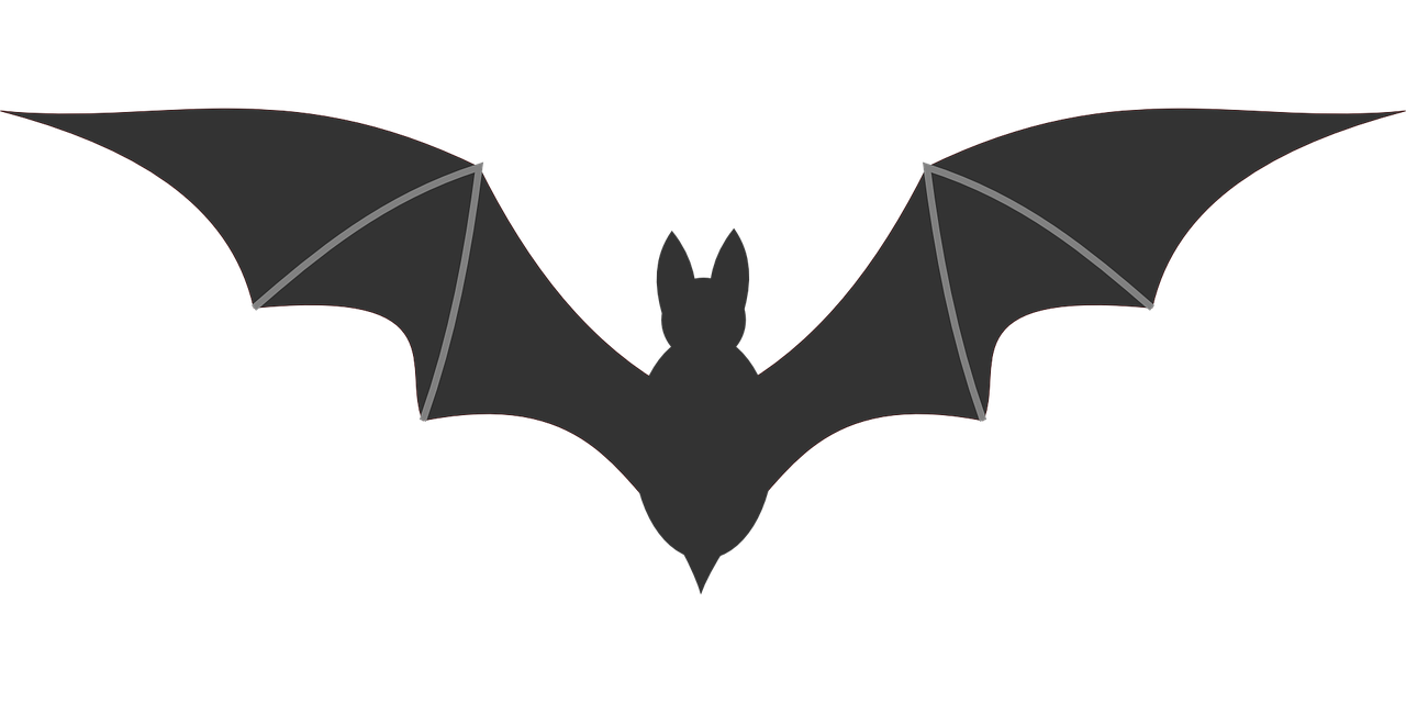 bat icon symbol free photo