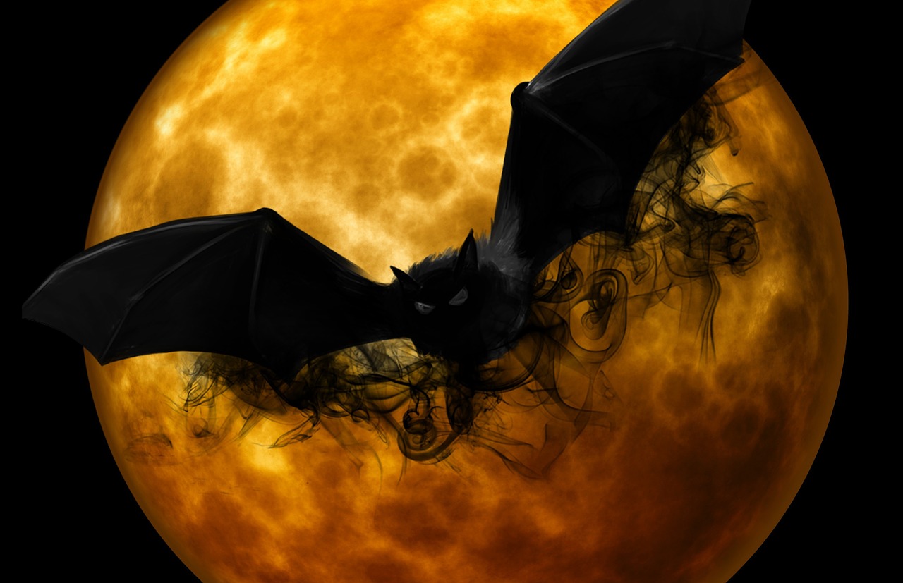 bat night creepy free photo