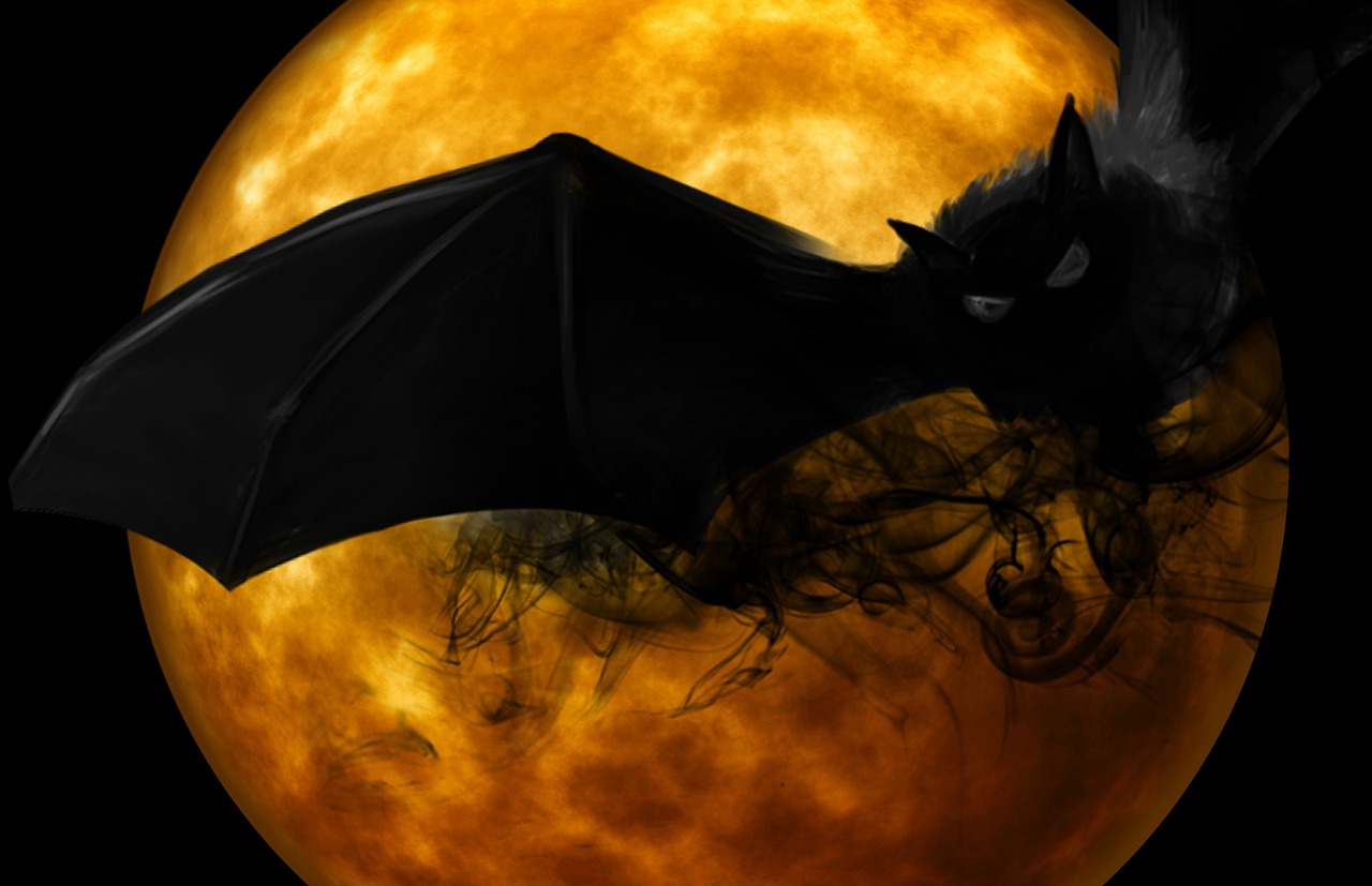 bat night creepy free photo