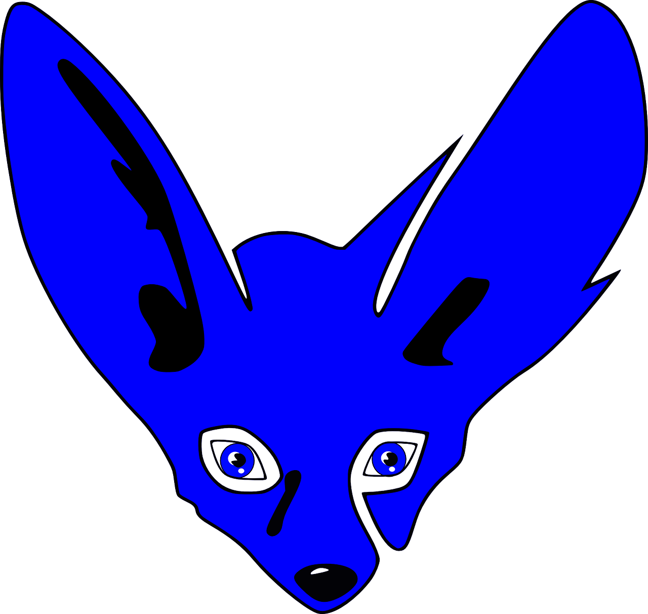 bat eared fox canine bat-eared free photo