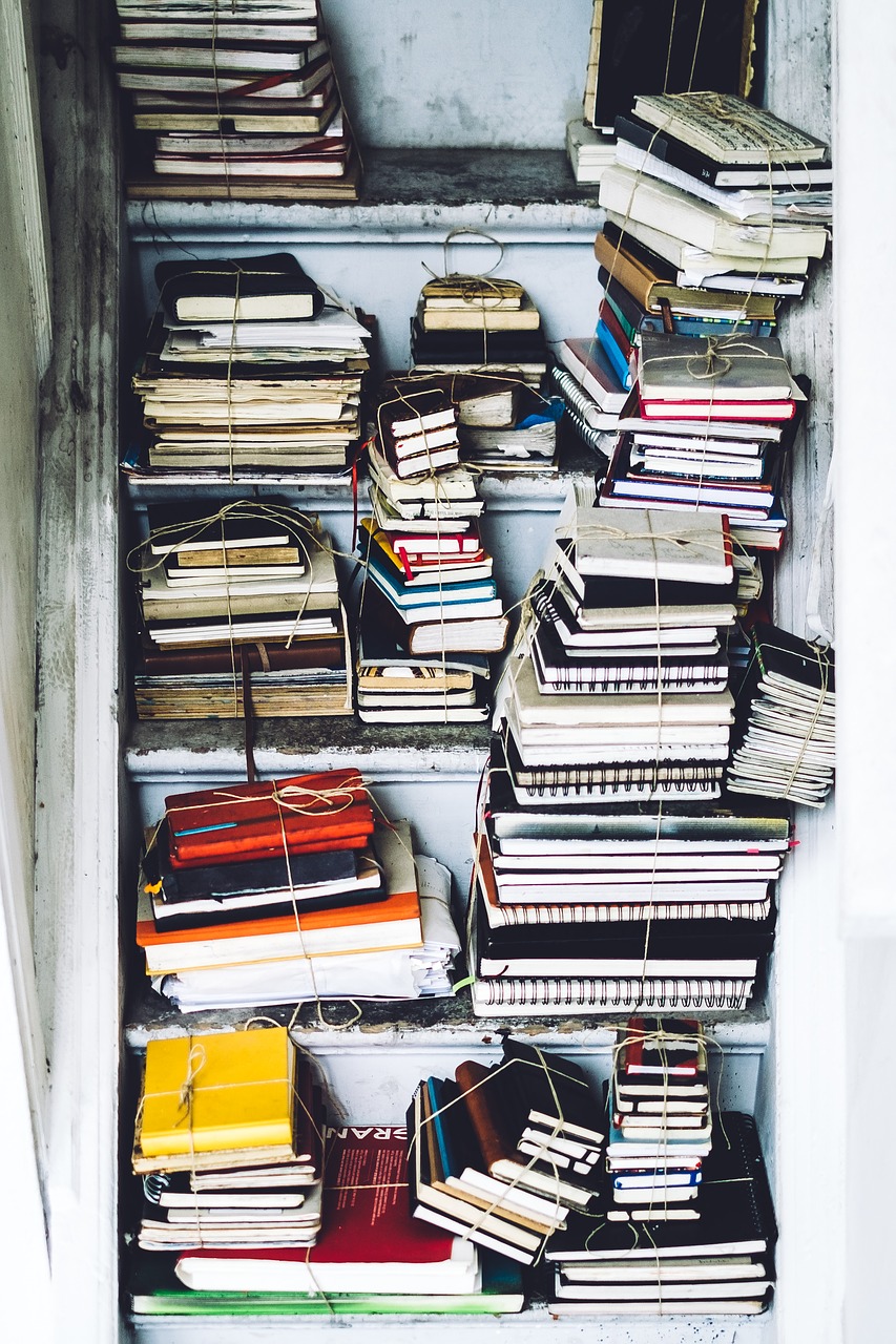 batch bookcase books free photo