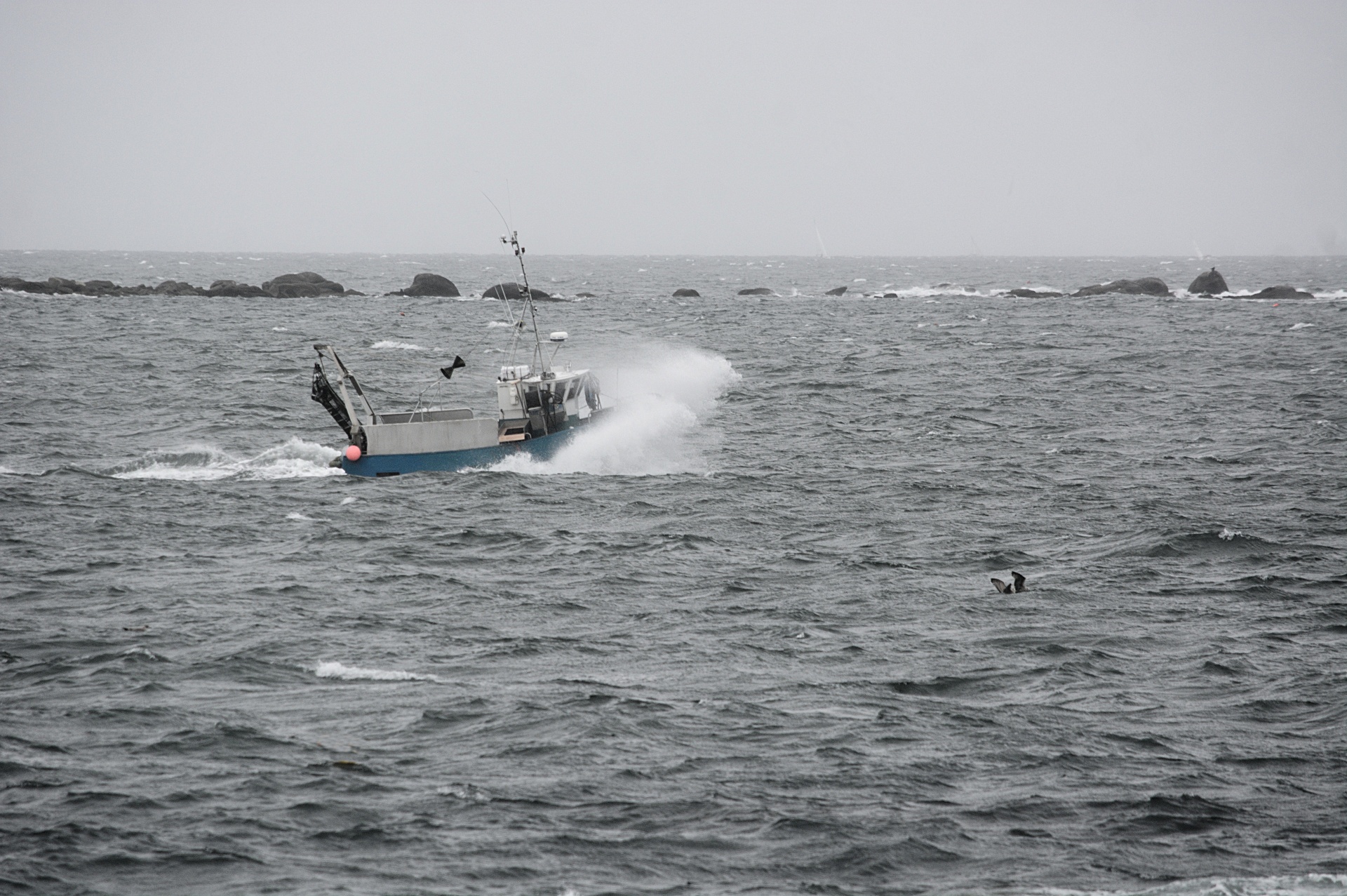 boat trawler fish free photo