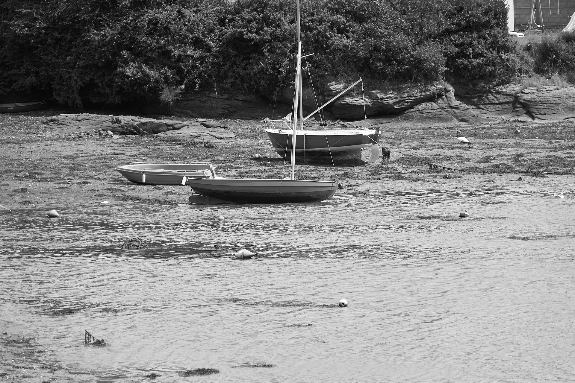 boats transports tide free photo