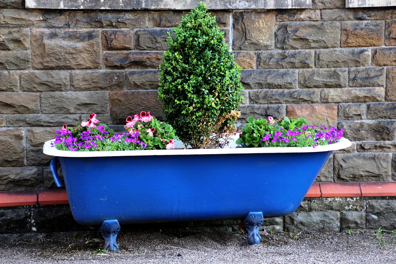bath pot garden garden free photo