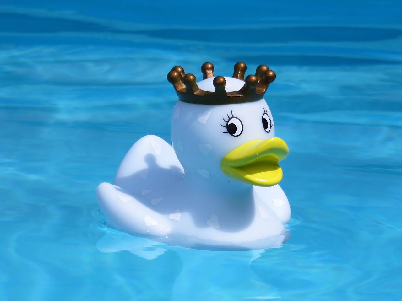 bath duck quietscheente rubber duck free photo
