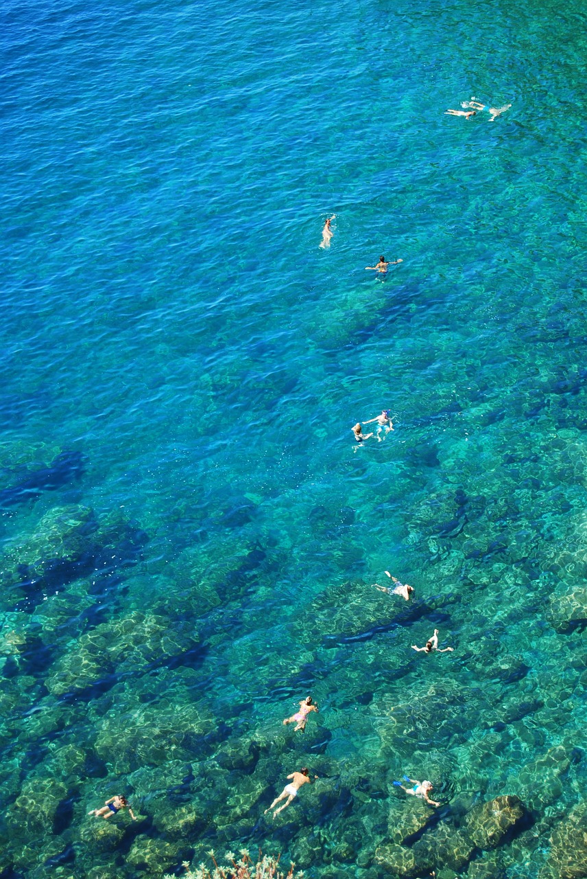 bathers water transparent free photo