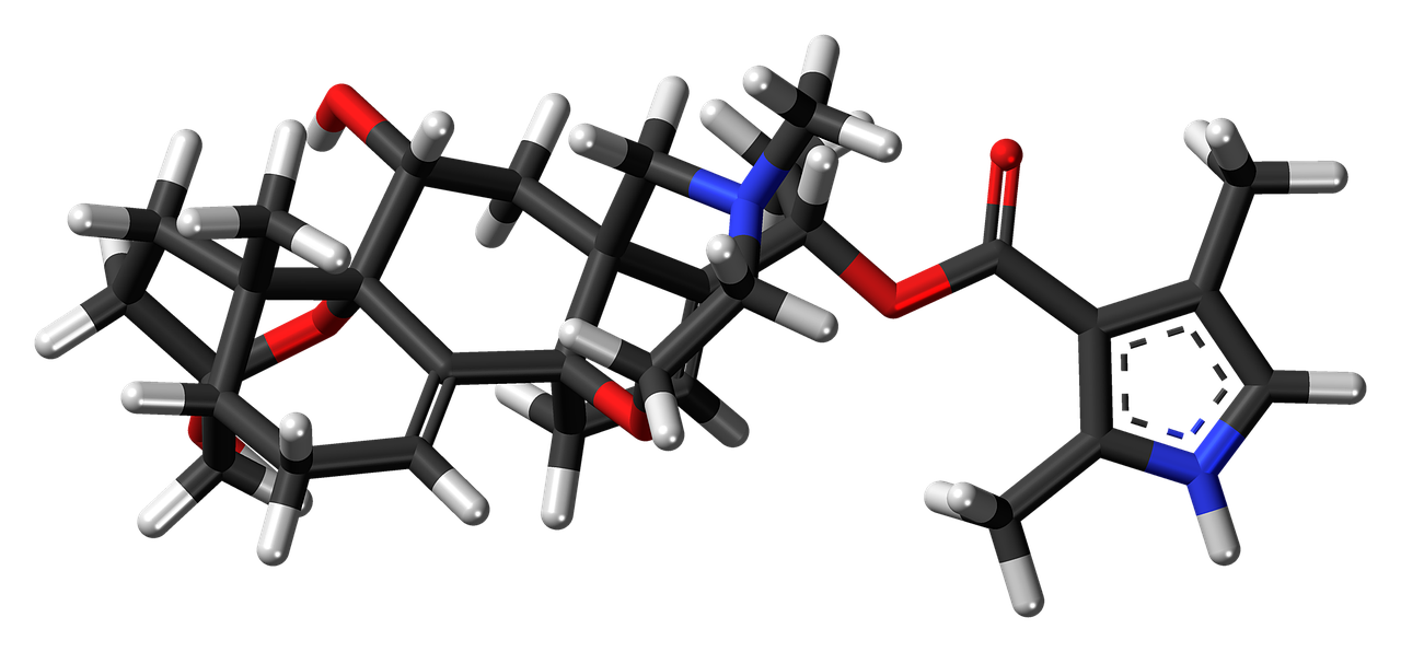 batrachotoxin poison dart frog free photo