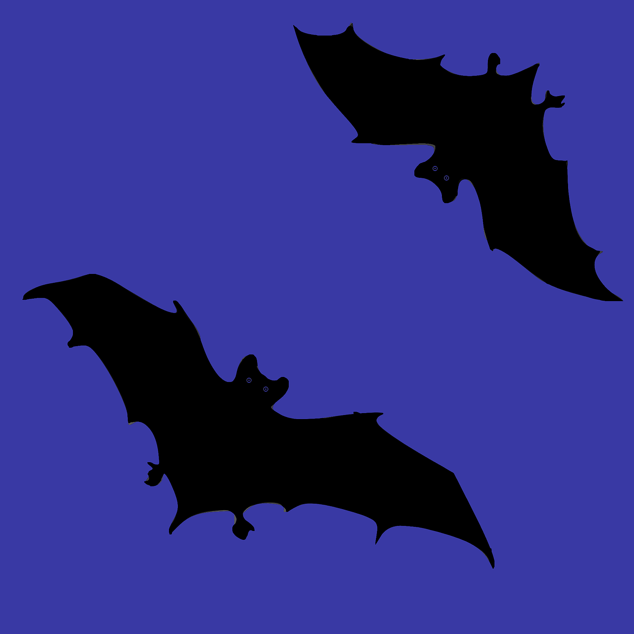 bats dark black free photo