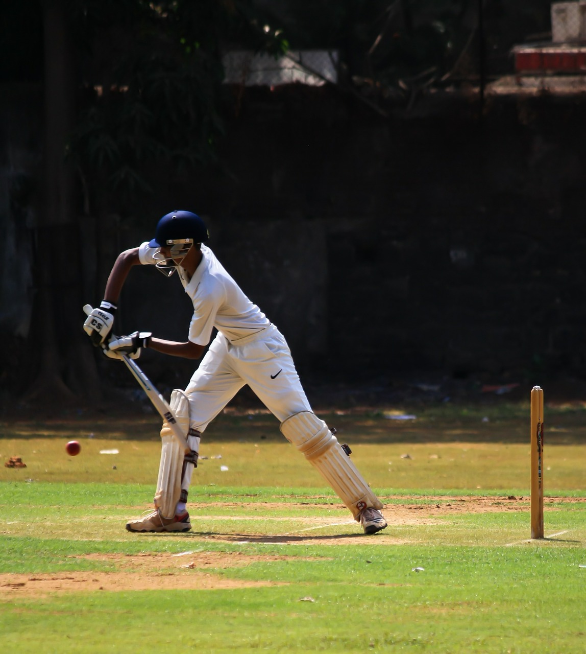 batsman cricket defense free photo