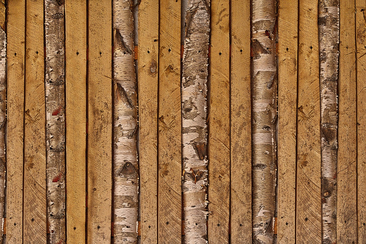 battens  boards  birch free photo