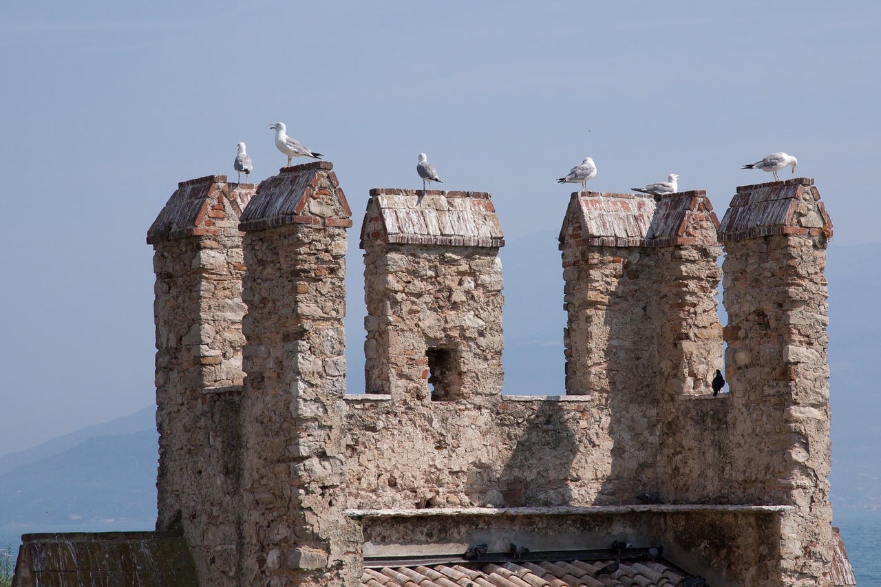 battlements gulls castle free photo