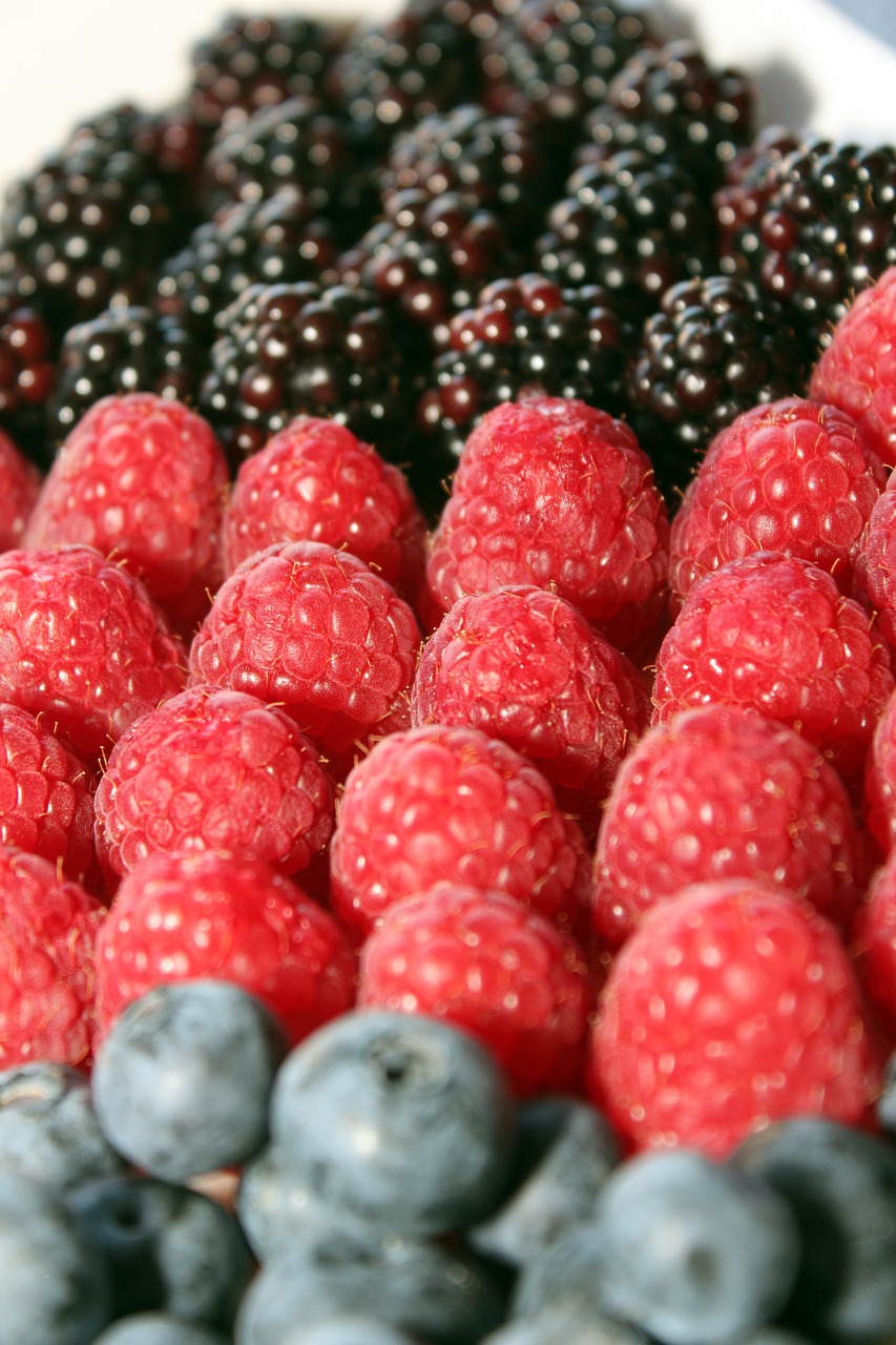 baubeeren raspberries blackberries free photo