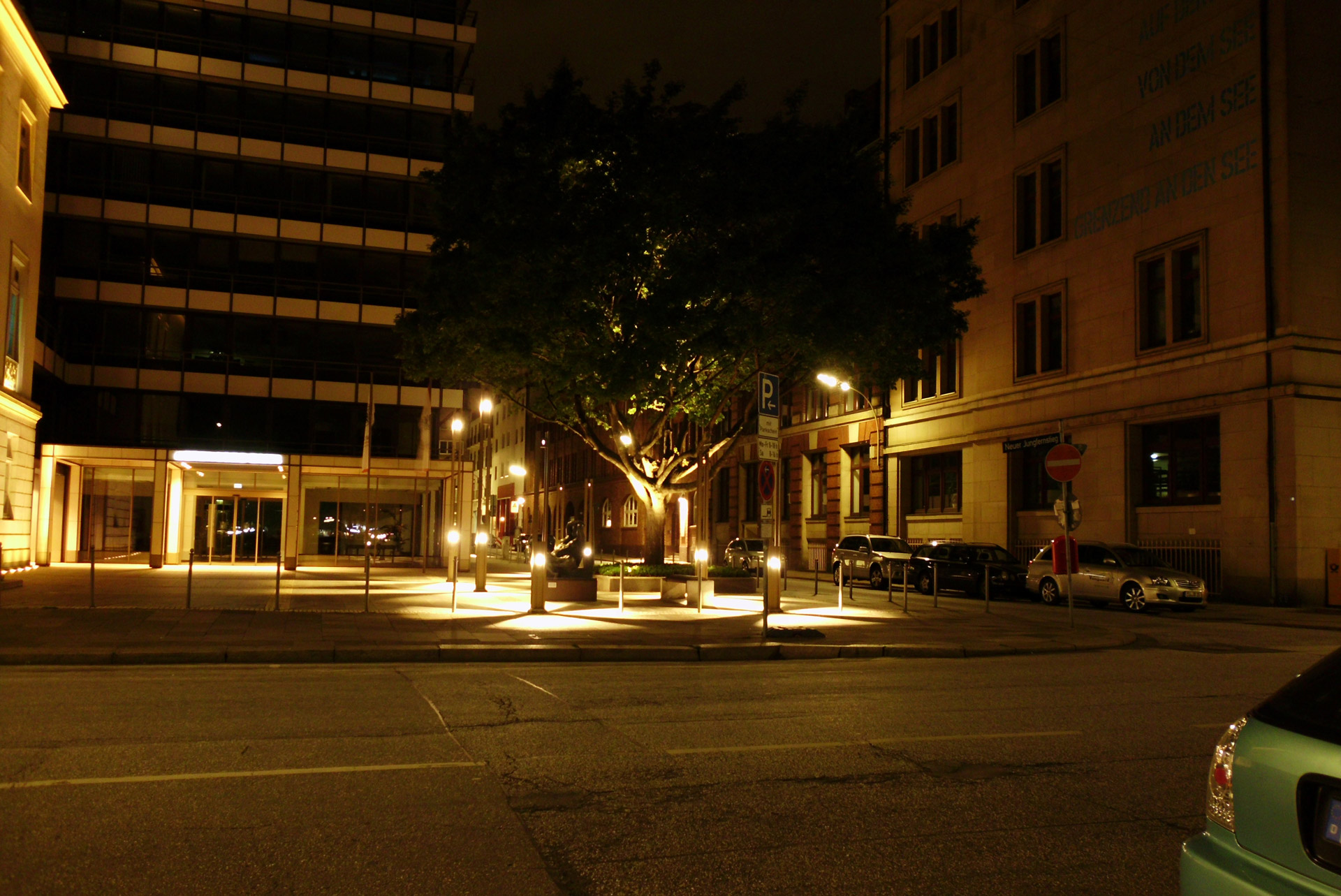 tree night light free photo