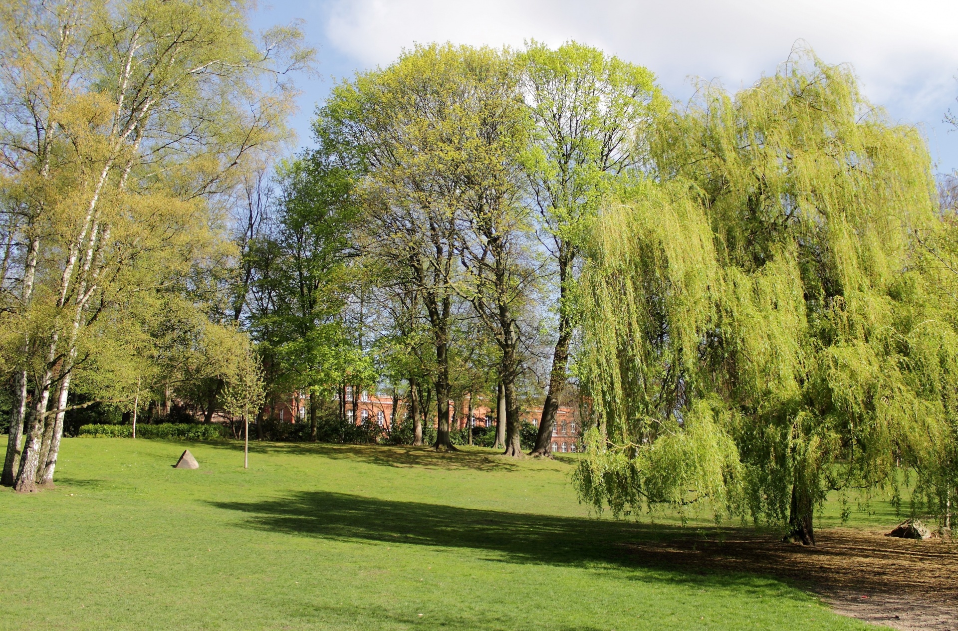 park trees meadow free photo