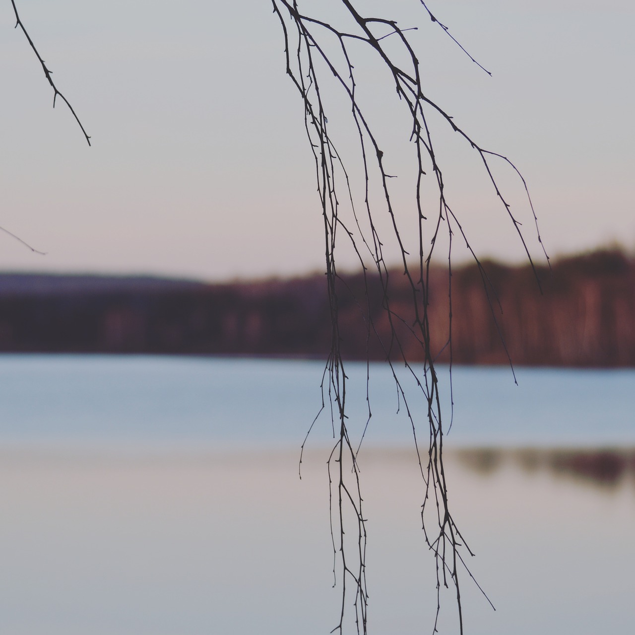 bavaria lake seascape free photo