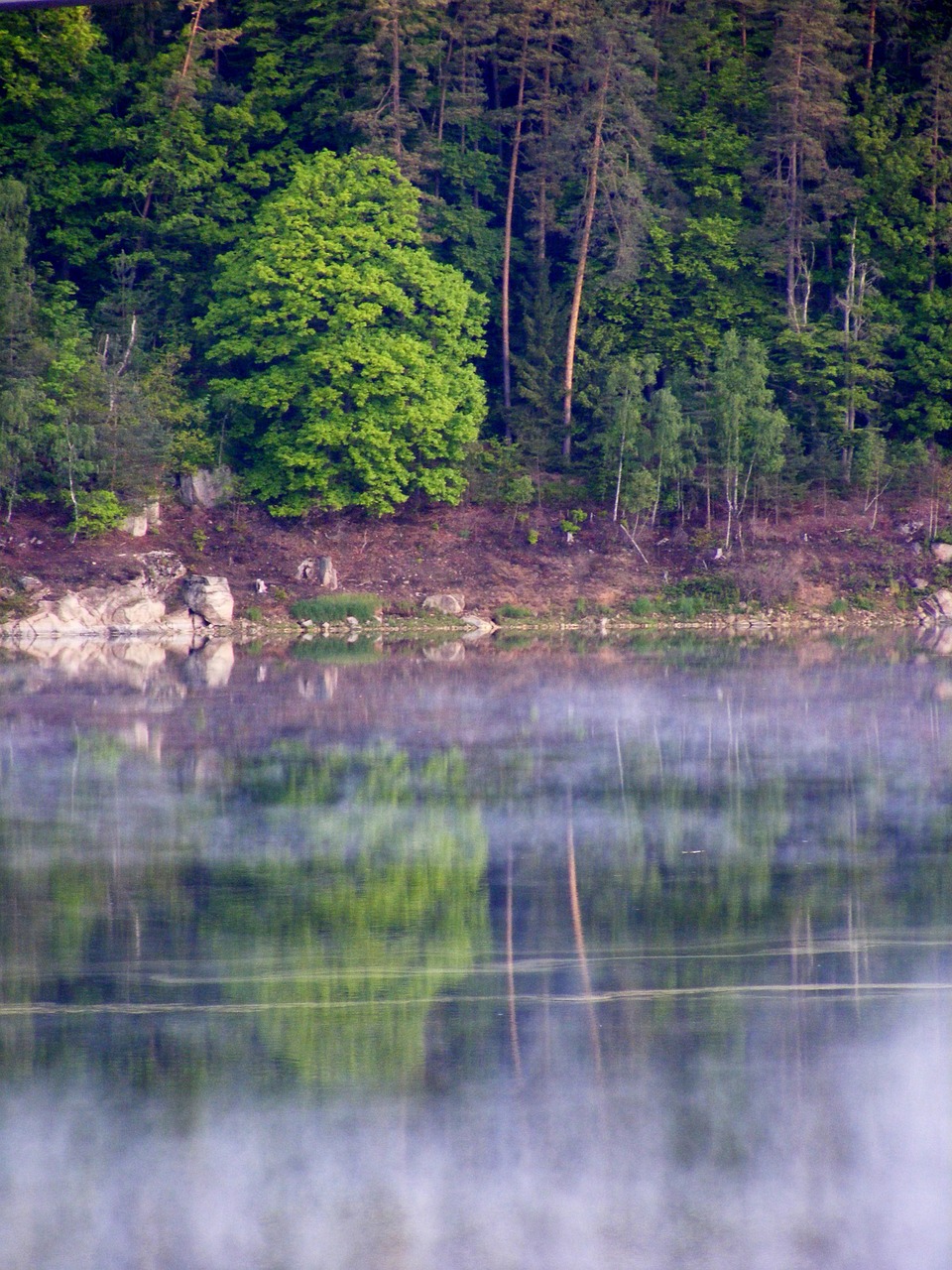 bavaria upper palatinate lake free photo