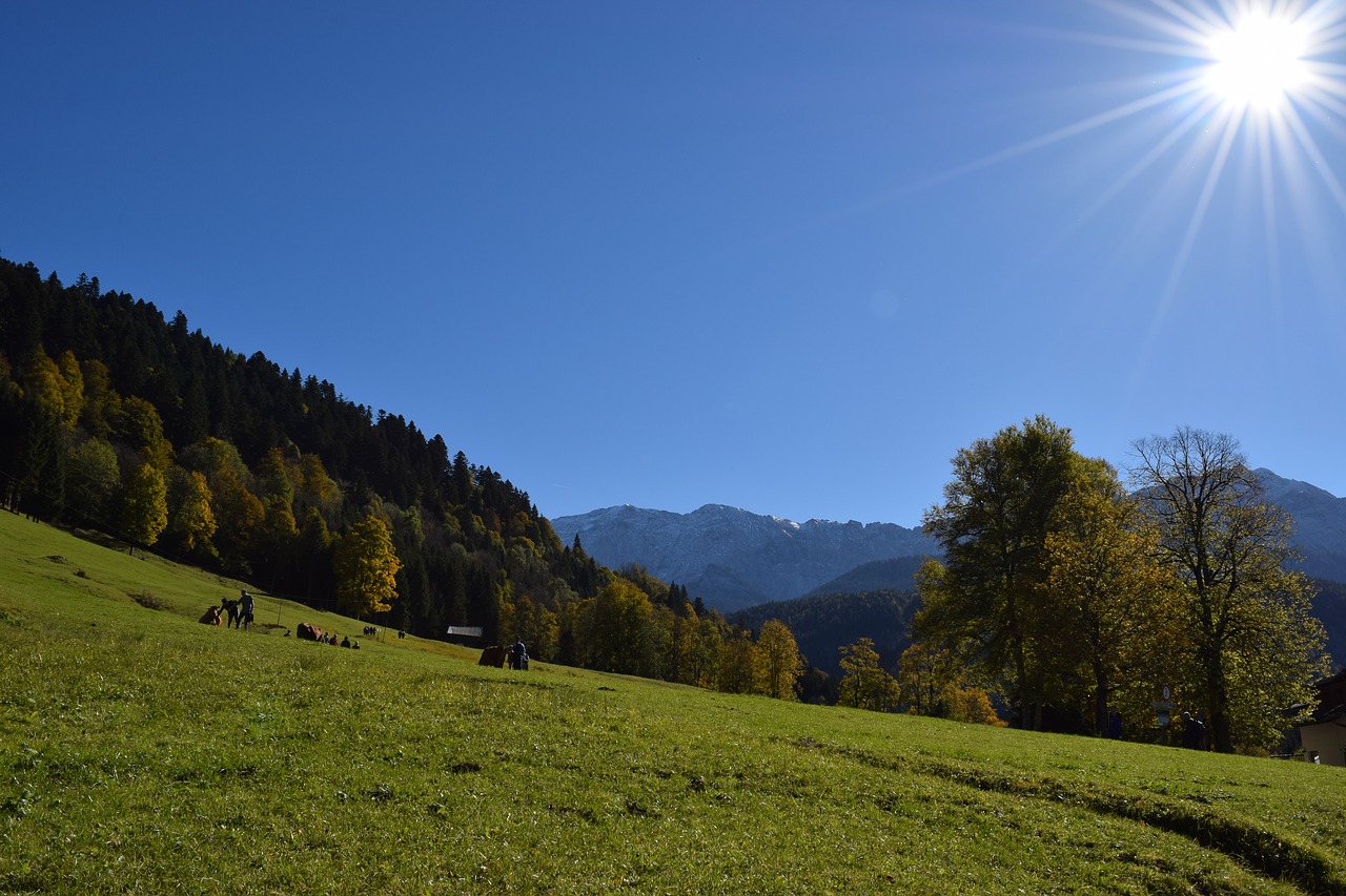 bavaria mountains alpine meadow free photo