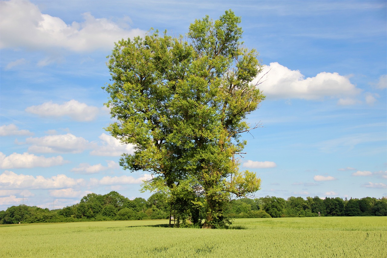 bavaria landscape nature free photo