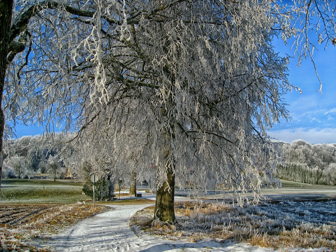 bavaria germany snow free photo