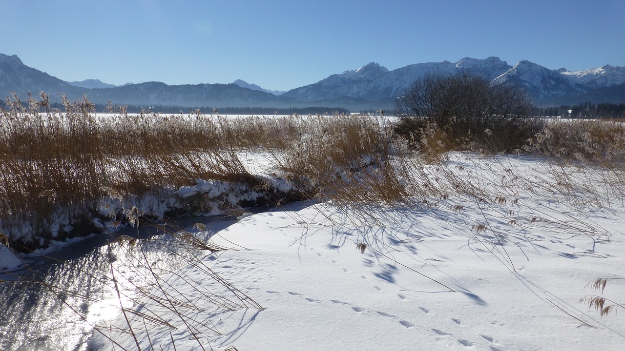 bavaria allgäu lake free photo