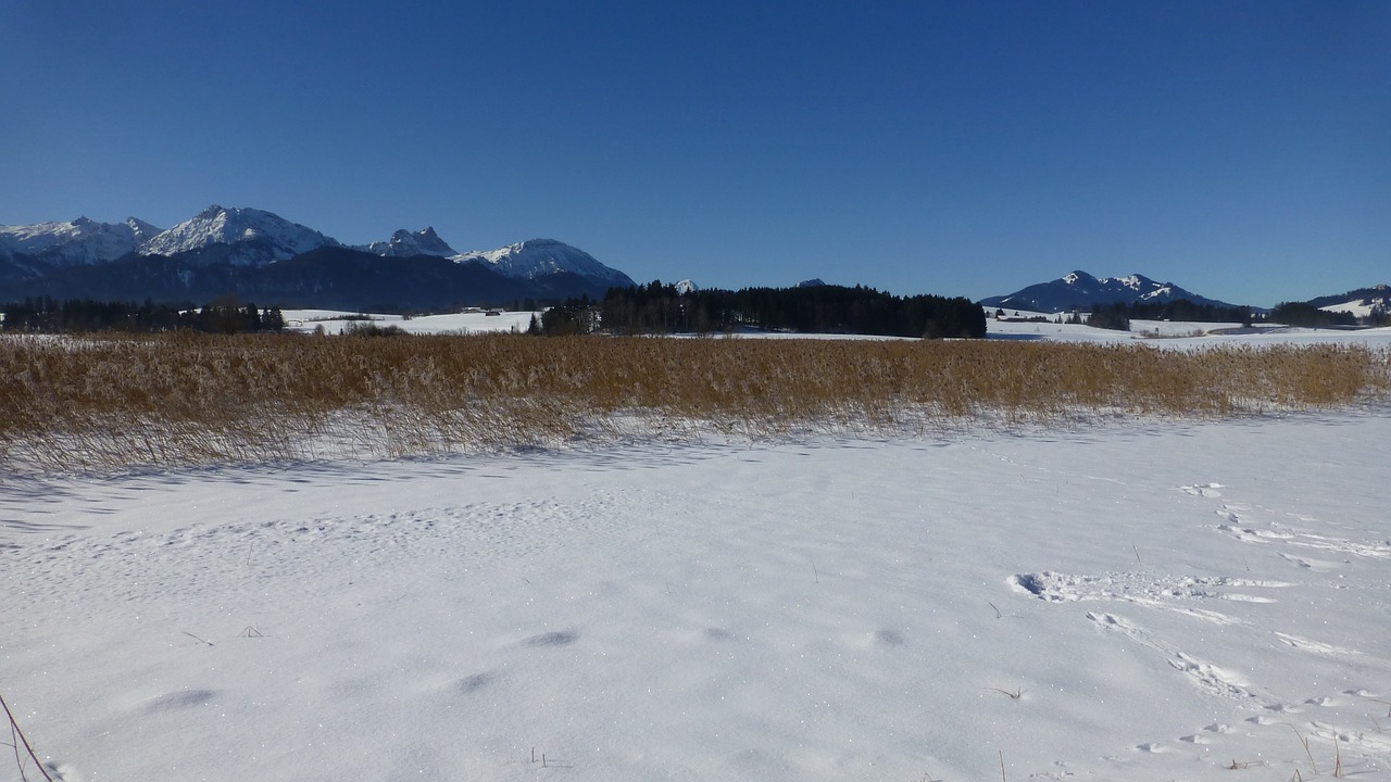 bavaria allgäu lake free photo