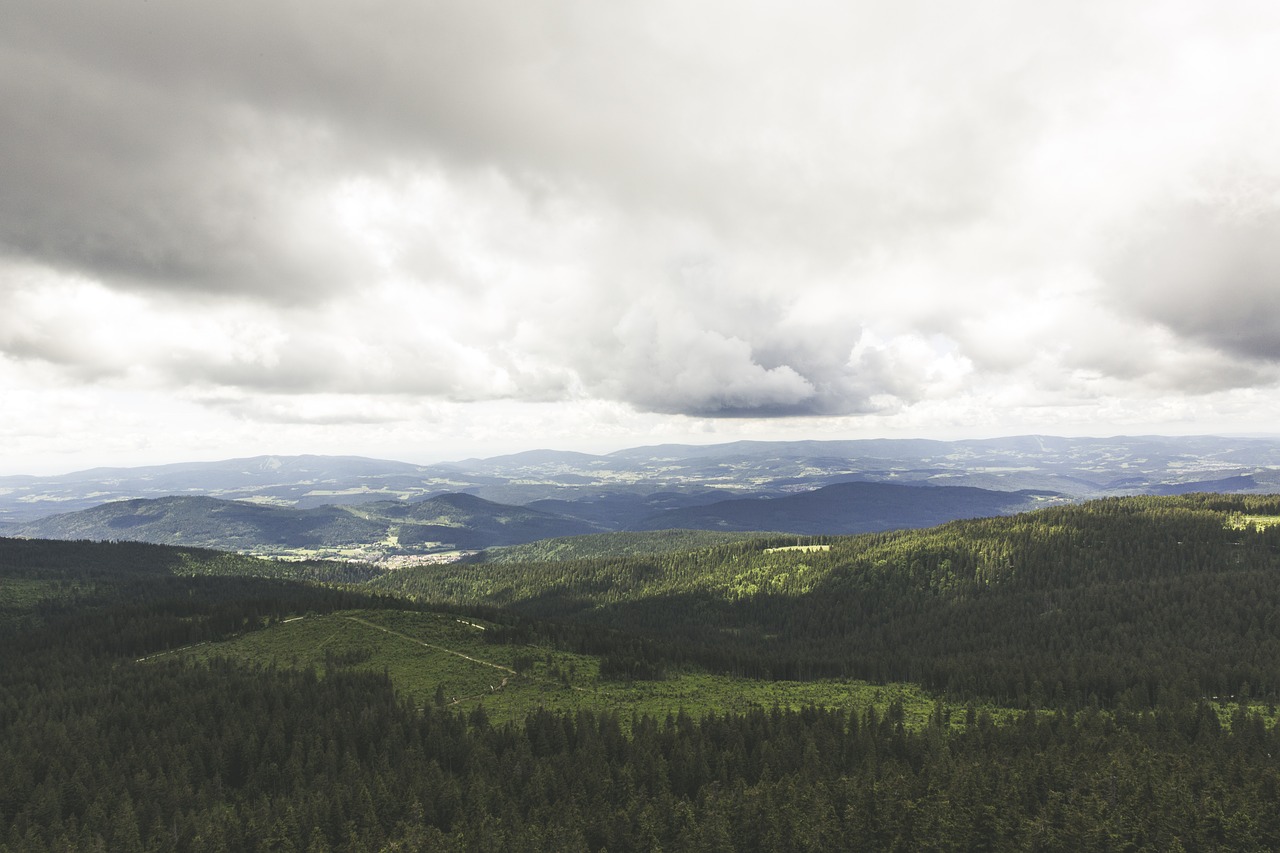 bavarian forest view distant view free photo