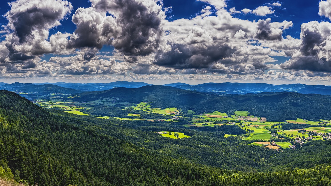 bavarian forest bavaria landscape free photo