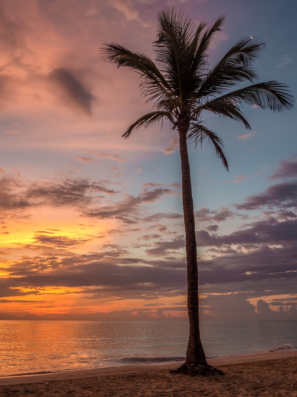 bavaro beach punta cana free photo