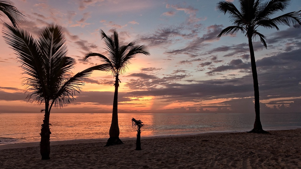 bavaro beach punta cana free photo