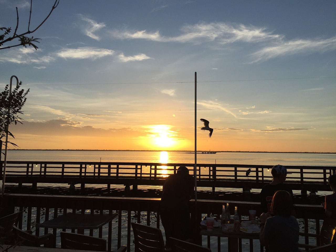 bay sunset pelican free photo