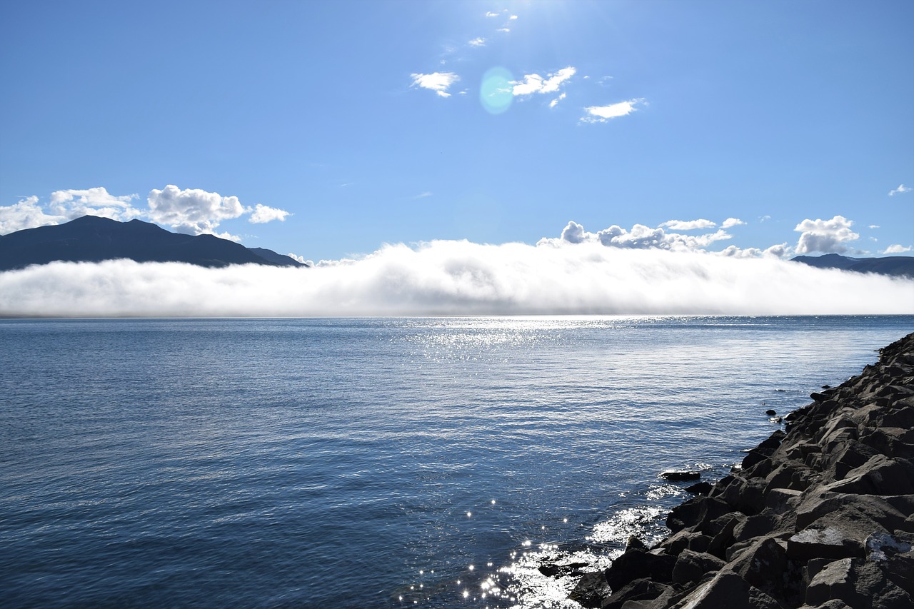 bay cloud fog free photo