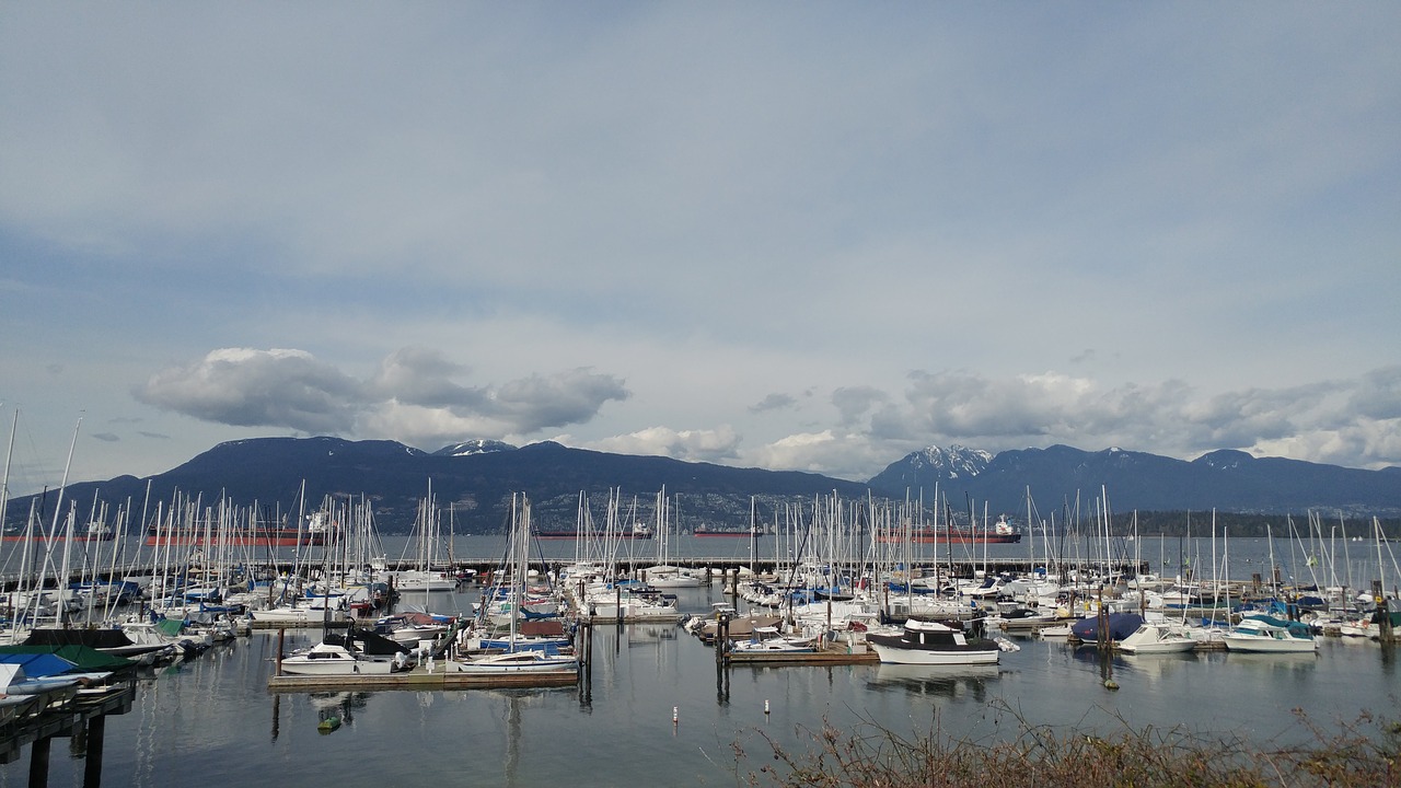 bay  boats  sailing free photo