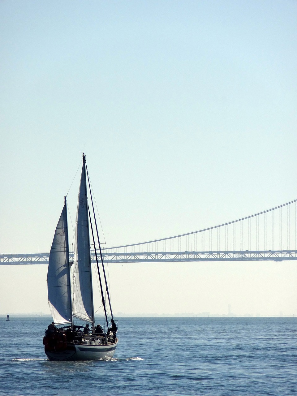 bay  boat  sailing free photo