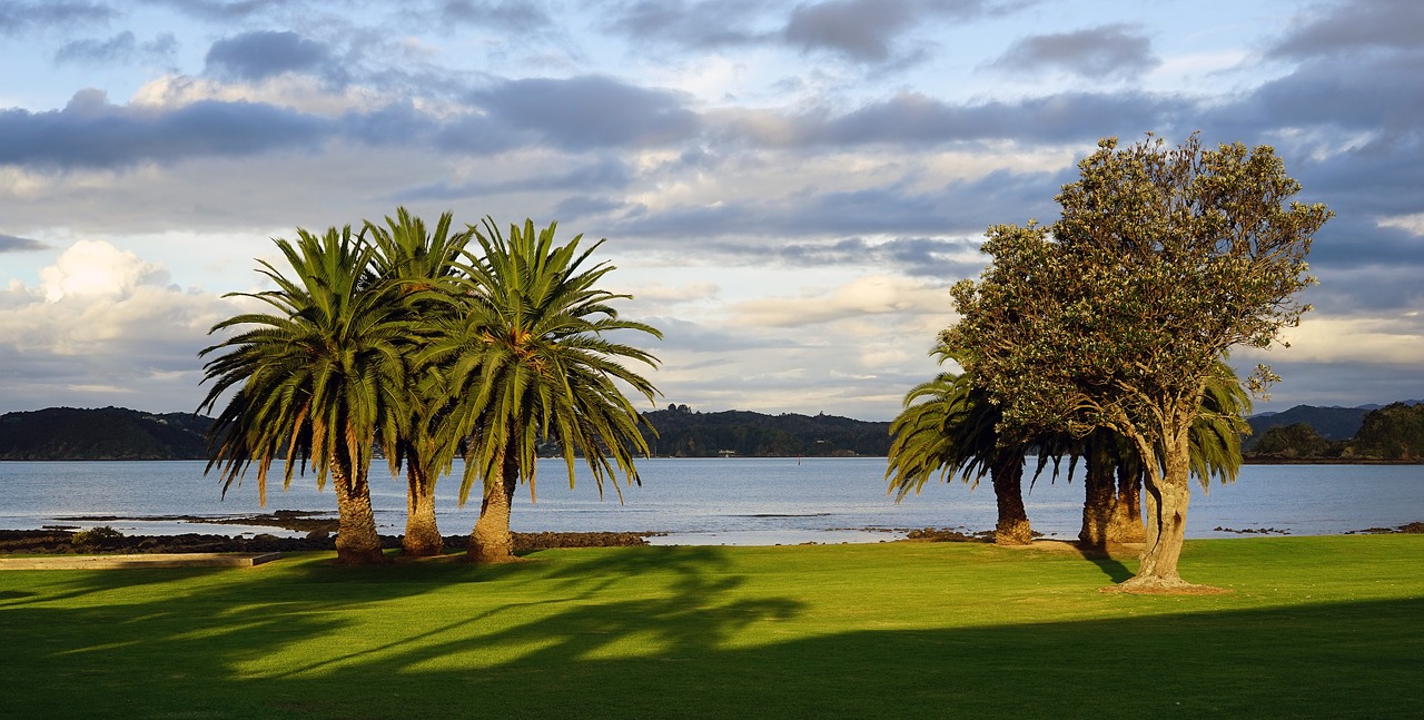 bay of islands new zealand north island free photo