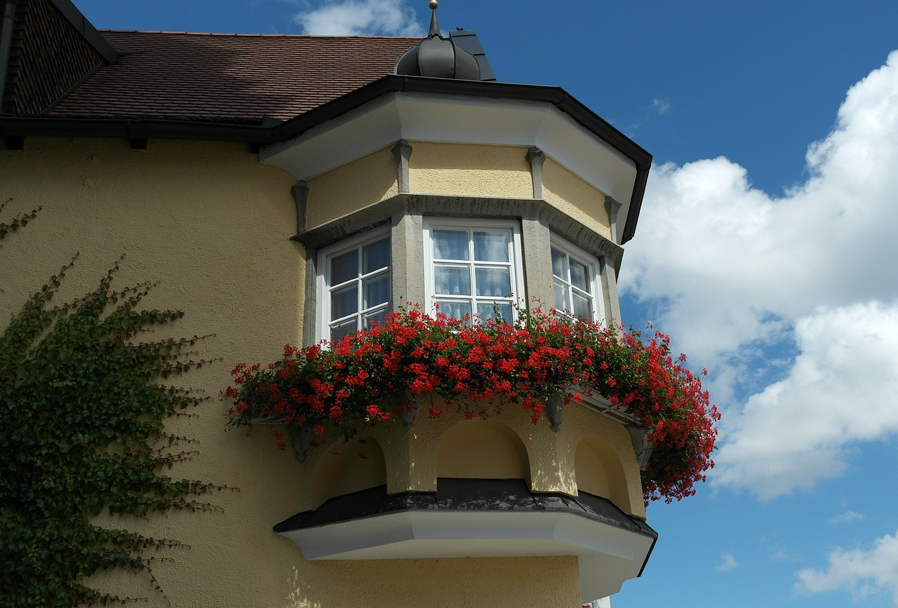 bay window homes live free photo