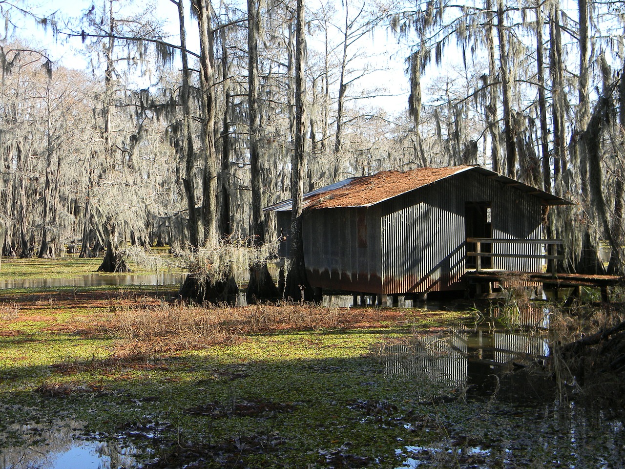 bayou swamp boathouse free photo