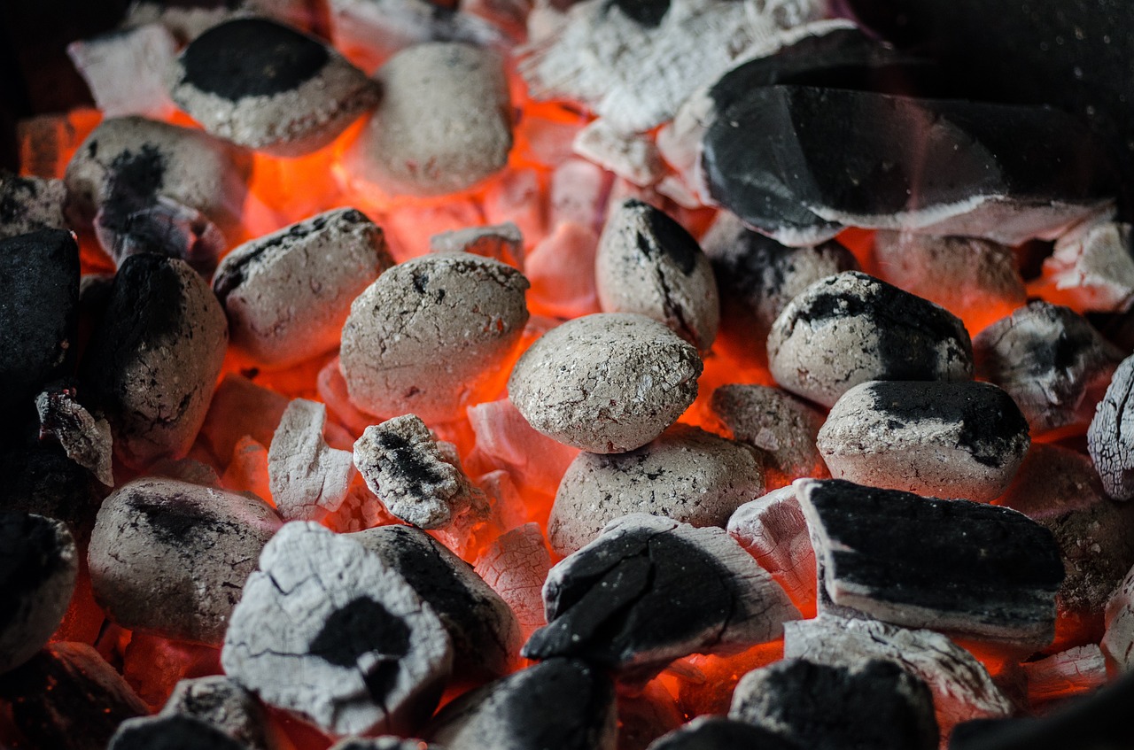 bbq barbecue coal free photo