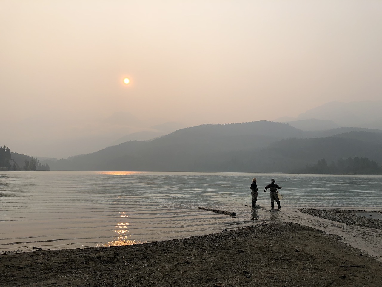 bc  fishing  trout free photo