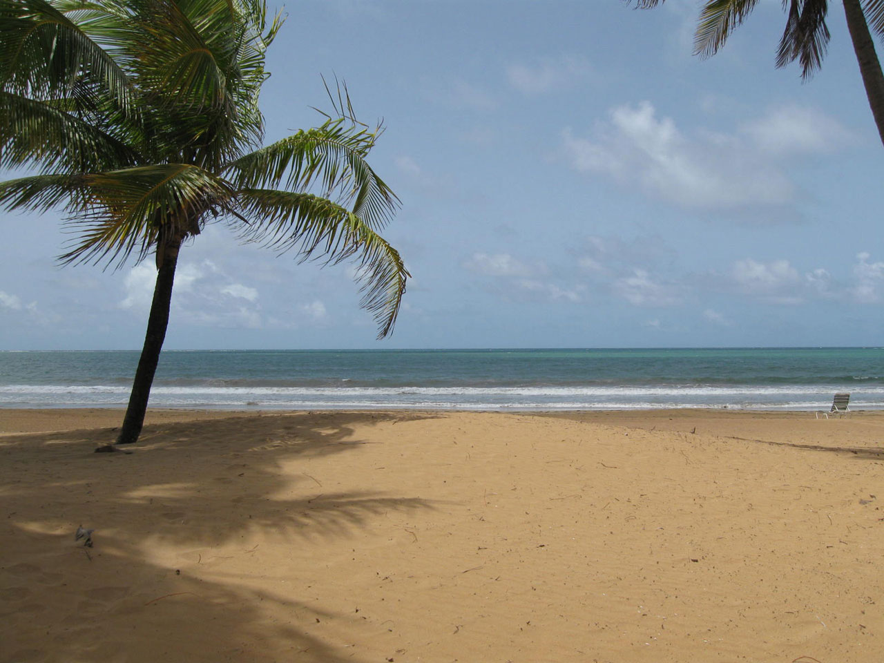 beach sunny day free photo