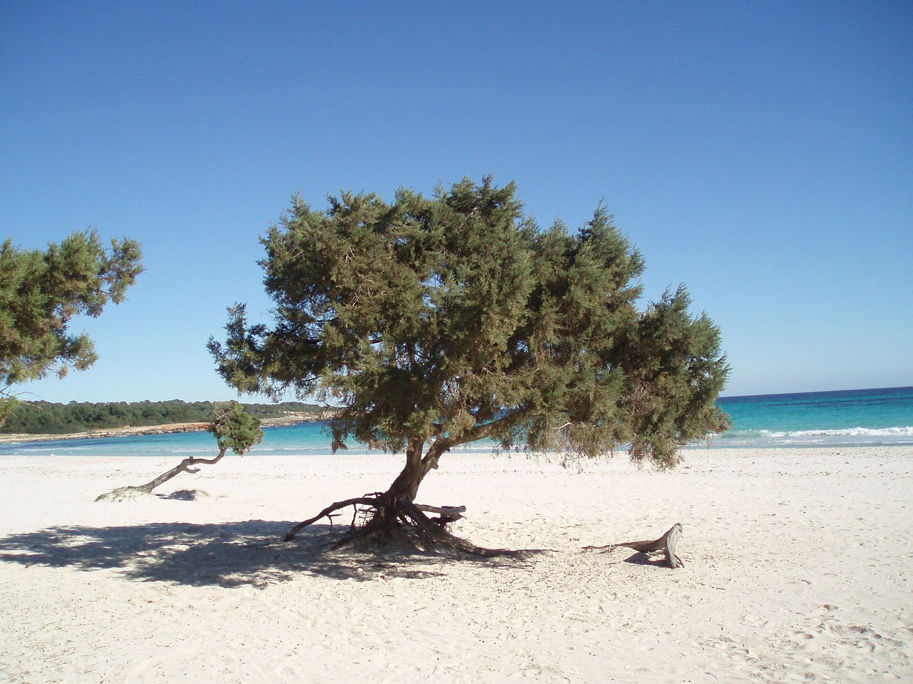 beach sea sand beach free photo