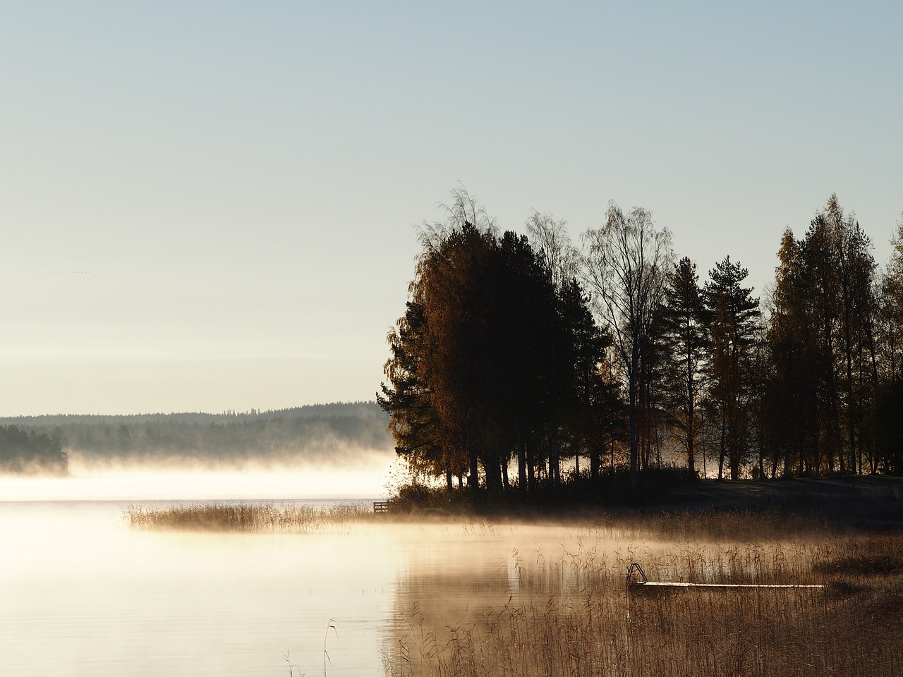 beach wood lake free photo