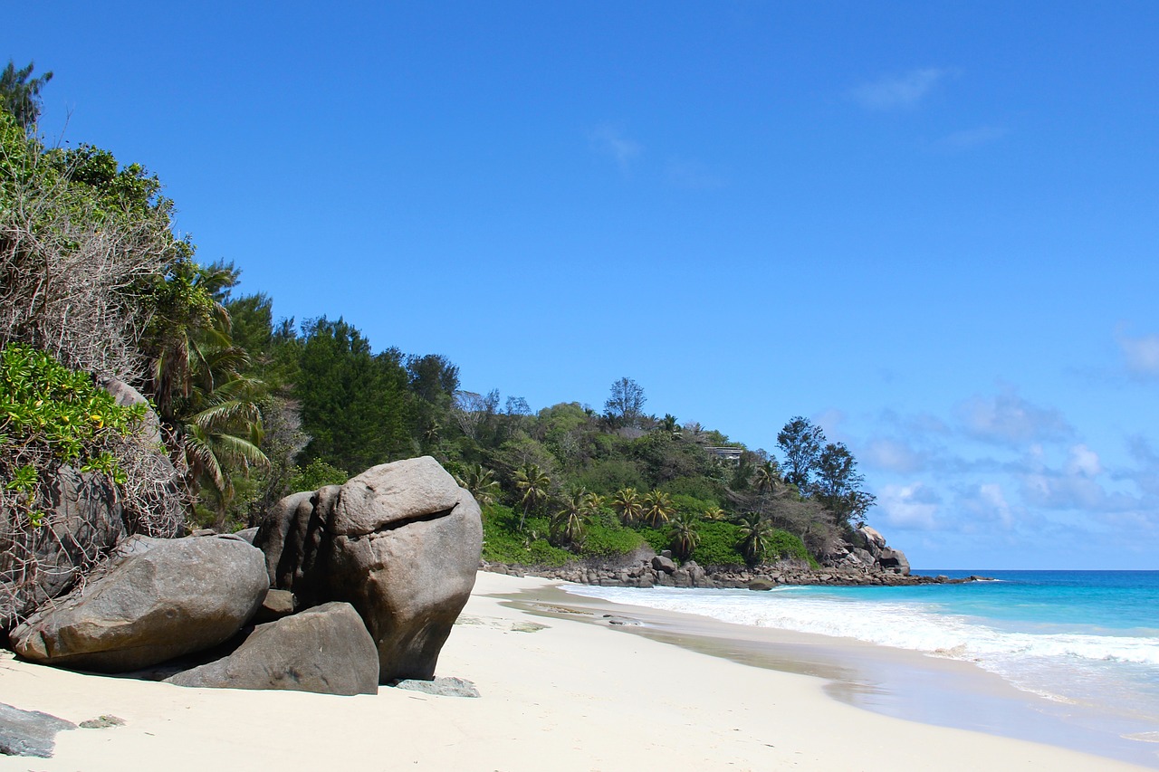 beach sand water free photo