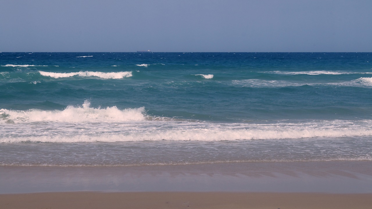 beach australia ocean free photo