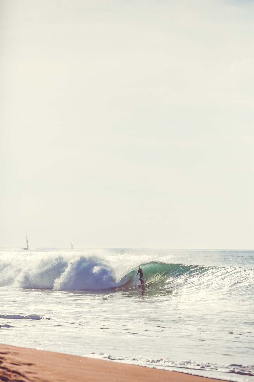 beach wave surfer free photo