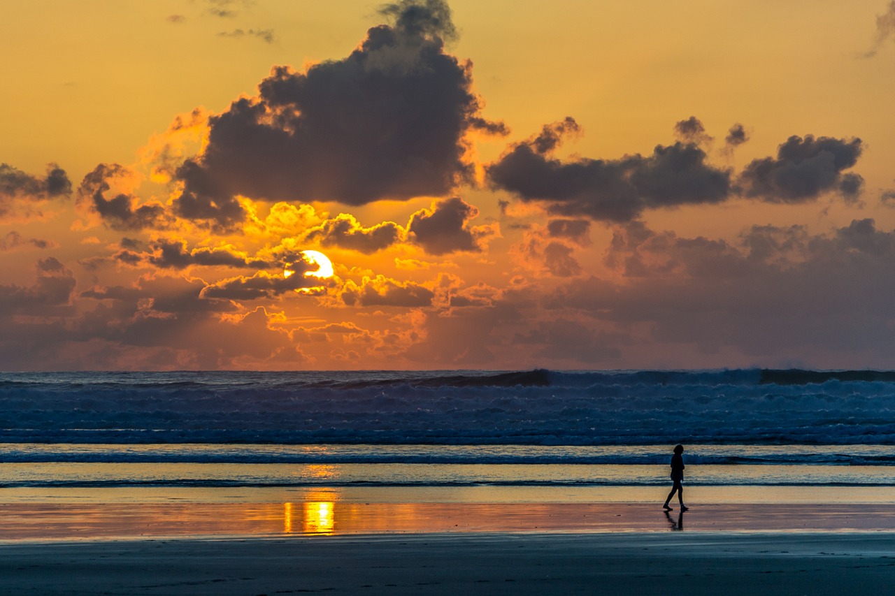 beach person walking free photo