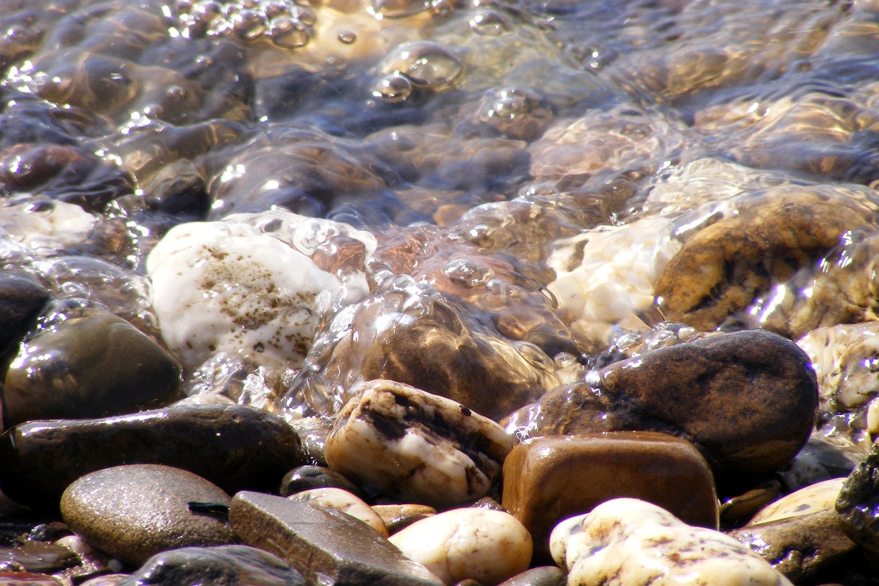 stones beach water free photo